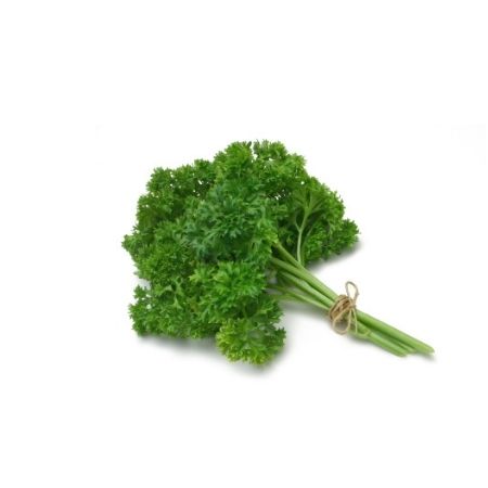 Organic Curled Parsley | Plant Care