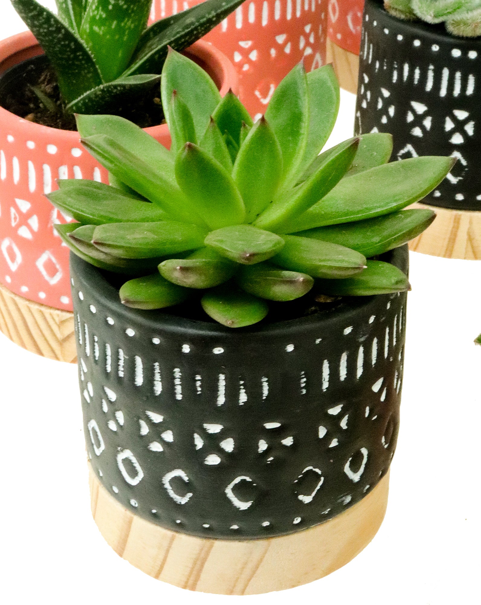 Navaho Ceramic + Wood Pot | XS | 2.5 Inch