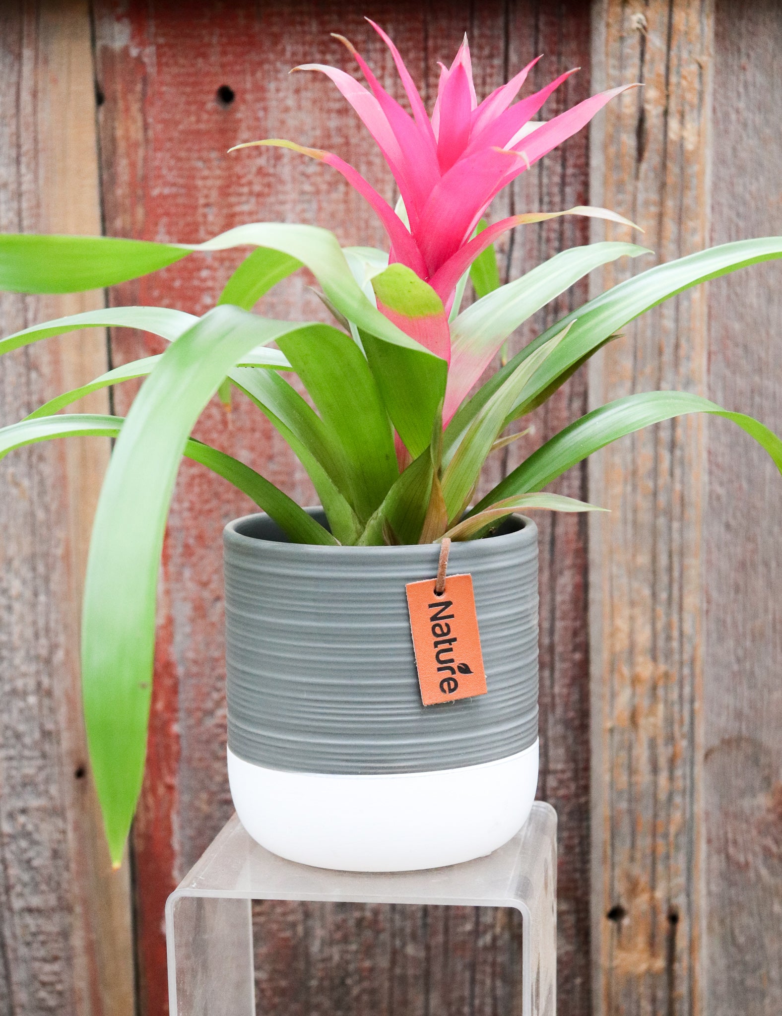 Beaudon Ceramic Pot | S | 4 Inch