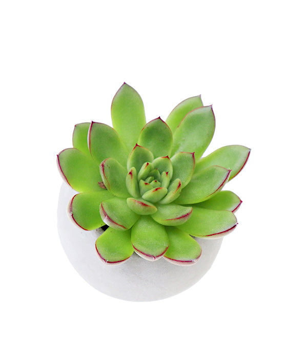 Modern Vibes Round Pot | XS | Concrete