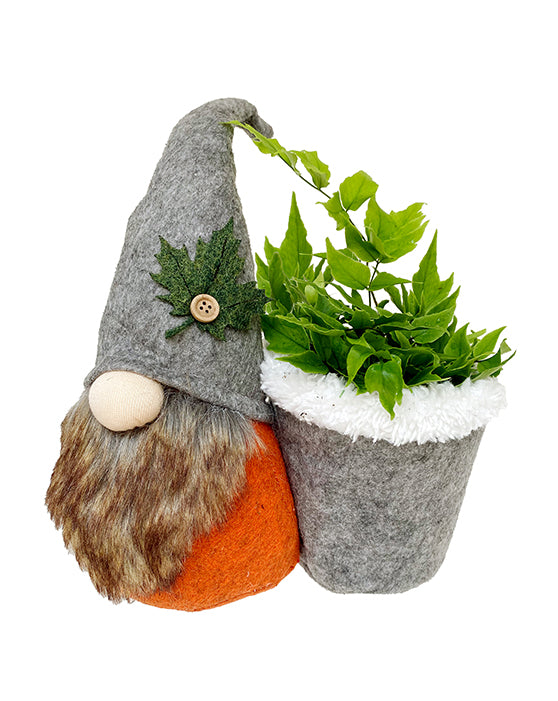Gnomes d'Automne | 3-Pack | Feutré + Doublure