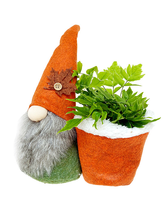 Autumn Gnomes | Felted + Liner