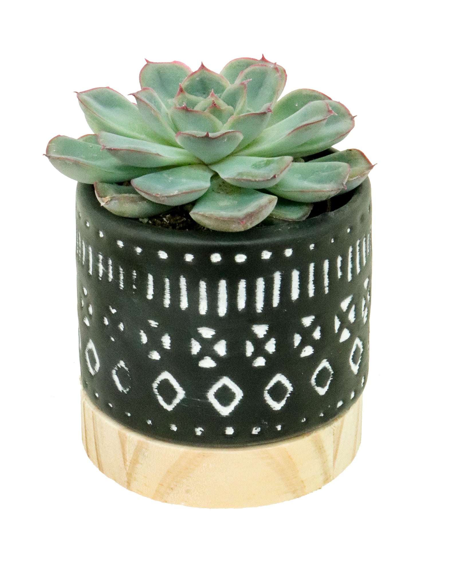 Navaho Ceramic + Wood Pot | XS | 2.5 Inch