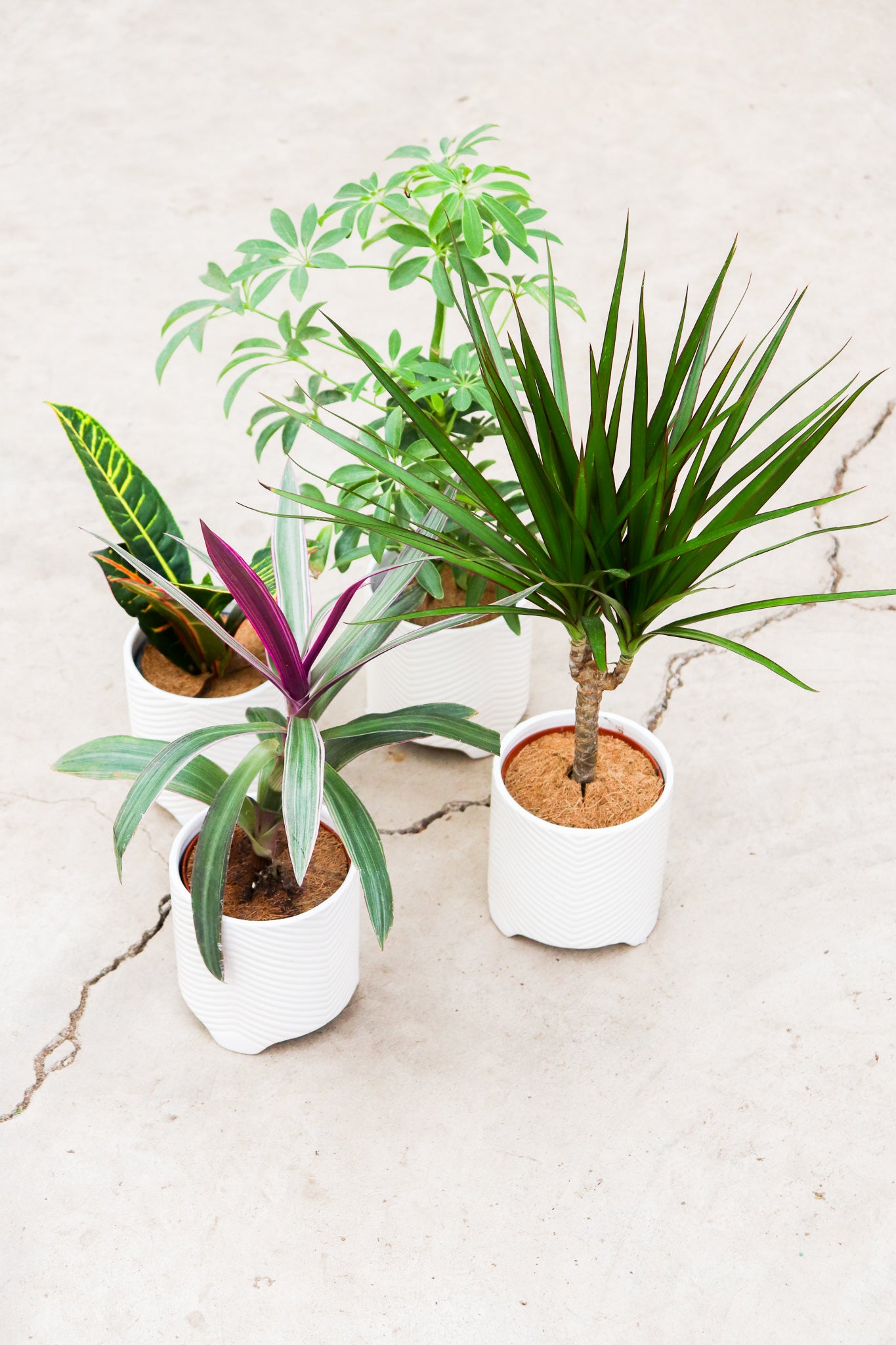 Lean Ceramic Pot | S | 4 Inch | White