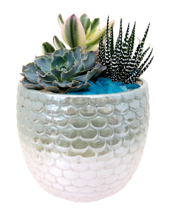 Mermaid Ceramic Pot | M | 5.5 Inch | Gloss Finish
