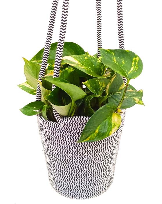Mantra Cotton Hanging Container with Liner | Black