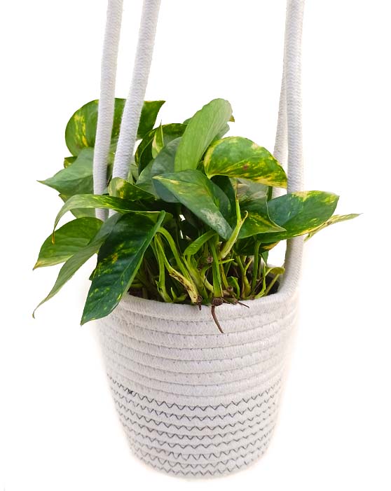 Mantra Cotton Hanging Container with Liner | S+M | White