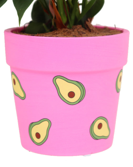 Avocado Runt Ceramic Pot | S | 4.5 Inch | Matte Finish