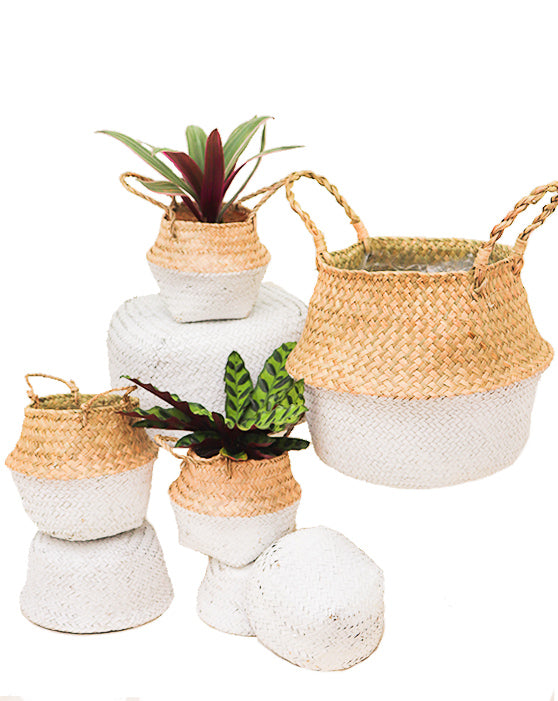 Collection de paniers pliables Seagrass 8-Pack
