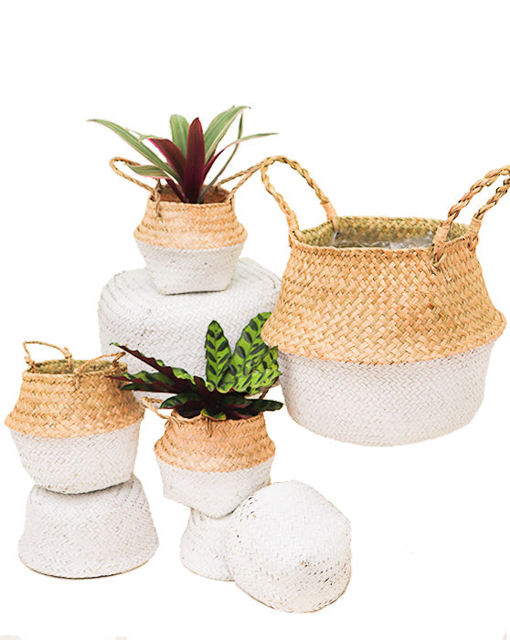 Seagrass Foldable Basket Collection | 8-Pack