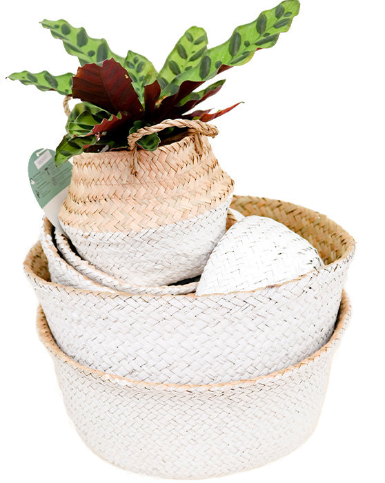 Panier moyen en gazon de mer avec doublure