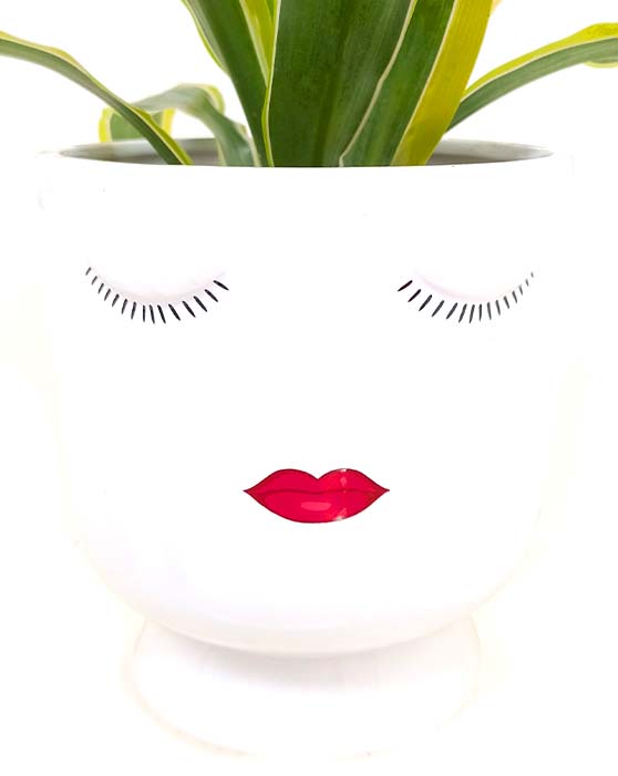 Pot Selfie 5 pouces (blanc)