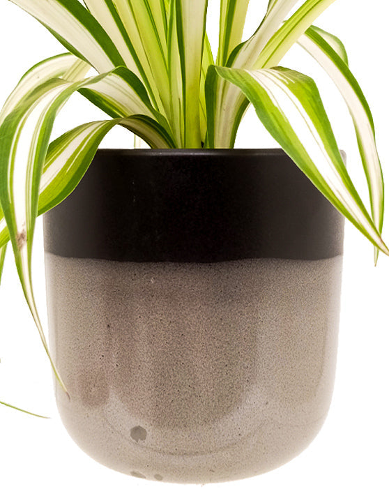 Pot en céramique Liam [S] | 5.25 Inch | Gloss Grey